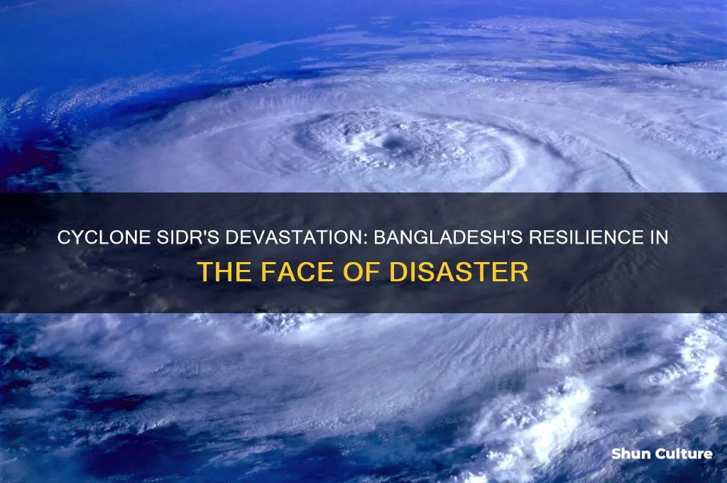 when cyclone sidr hit bangladesh