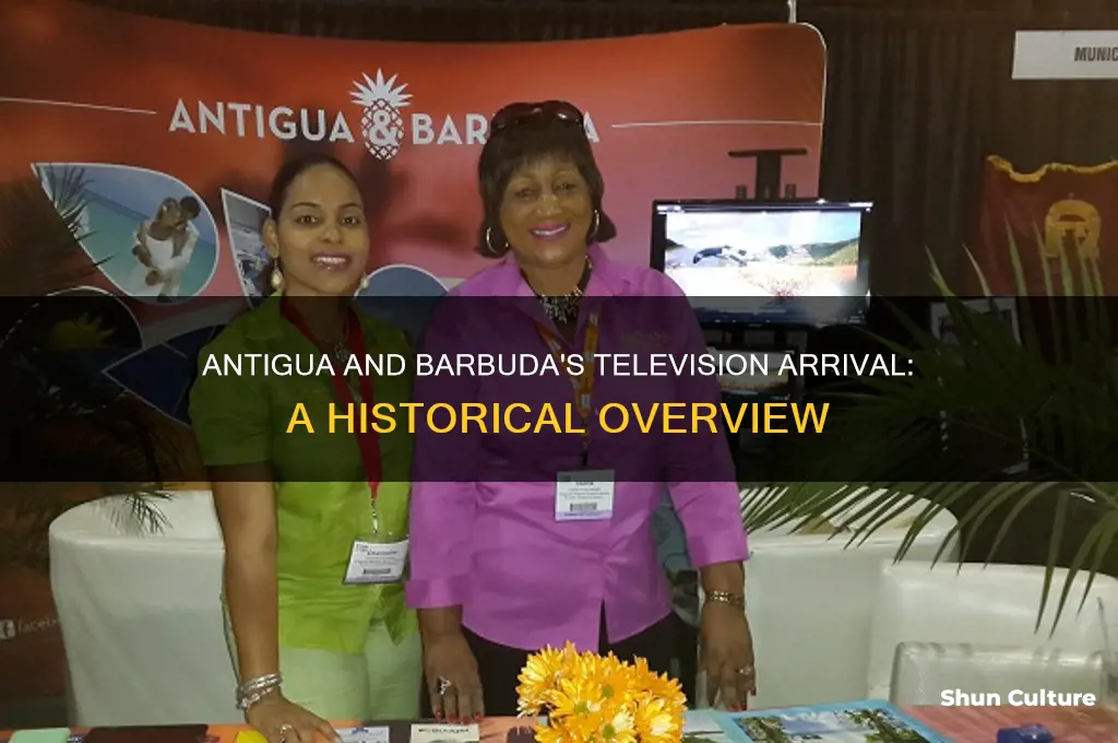when did antigua and barbuda get television