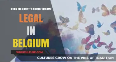 Exploring Belgium's Journey to Legalizing Assisted Suicide