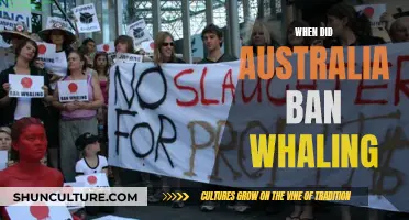 Australia's Anti-Whaling Stance: A Historical Overview