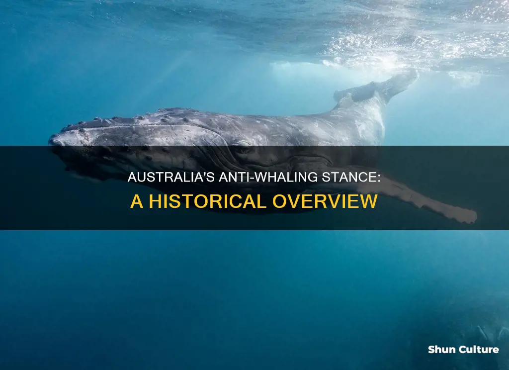 when did australia ban whaling