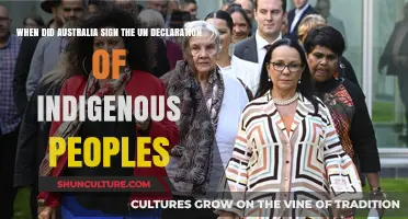 Australia's UN Declaration on Indigenous Rights: A Late Signatory