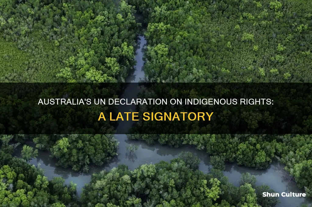when did australia sign the un declaration of indigenous peoples