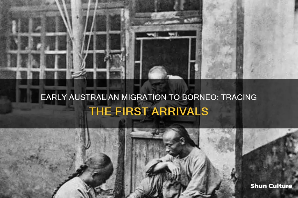when did australian immigrants first arrive in borneo
