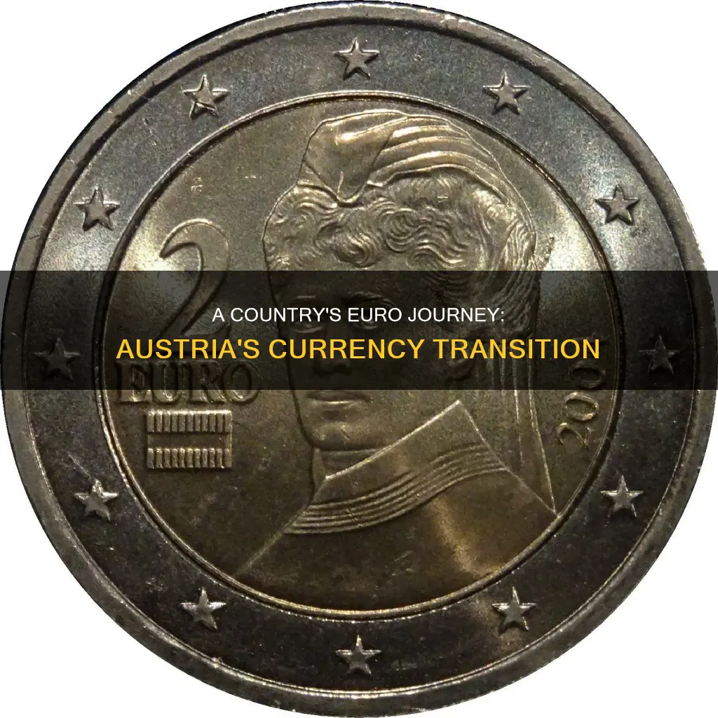 when did austria adopt the euro