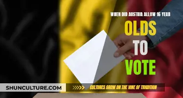 Austria's Voting Age Change: 16-Year-Olds' Political Voice