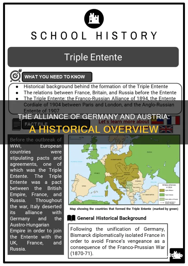 when did austria and germany form an alliance