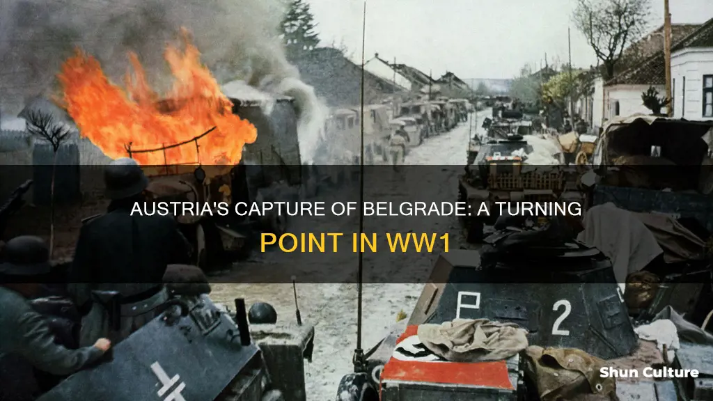 when did austria capture belgrade ww1