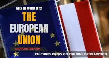 Austria's Entry into the European Union: A Historical Overview