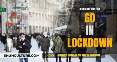 Austria's Lockdown: A Nation's Response to the Pandemic