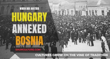 Austria-Hungary's Expansion: When Bosnia Fell Under Imperial Rule