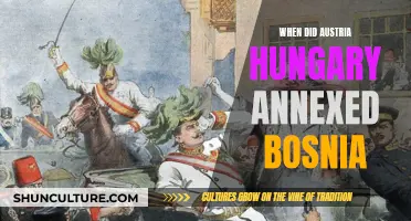 Austria-Hungary's Annexation of Bosnia: A Fateful Decision