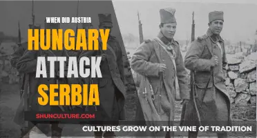 Serbia's Fateful Day: Austria-Hungary's Attack and Its Legacy
