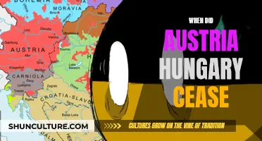 The End of Austria-Hungary: A Historical Perspective