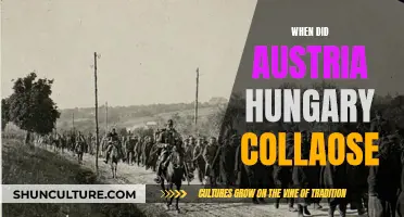 The Fall of Austria-Hungary: A Historical Overview