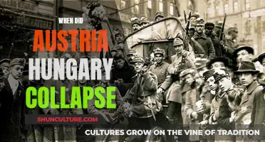 Austeria-Hungary's Demise: The Fall of a Dual Monarchy