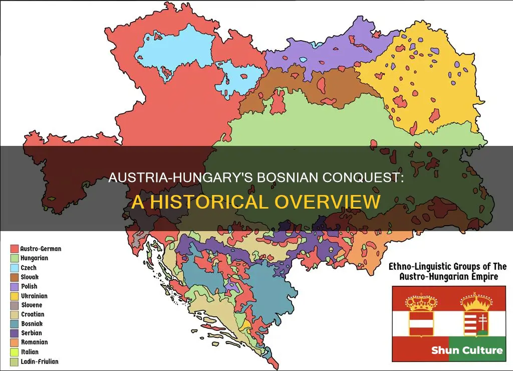 when did austria hungary conquer bosnia herzegovina