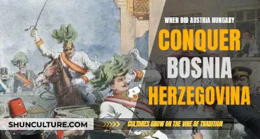 Austria-Hungary's Conquest: Bosnia and Herzegovina in 1878