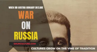 Austria-Hungary's Fateful Decision to Declare War on Russia