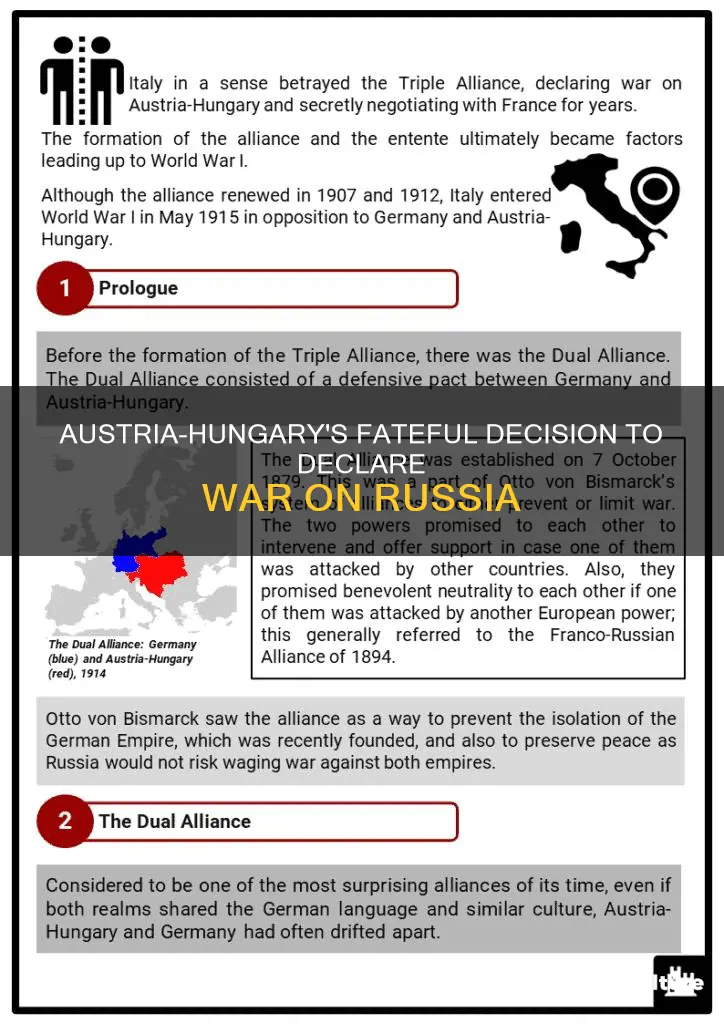 when did austria hungary declare war on russia
