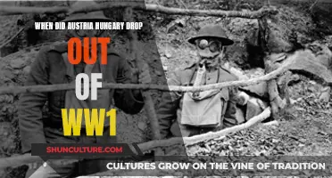 Austria-Hungary's Exit from World War I