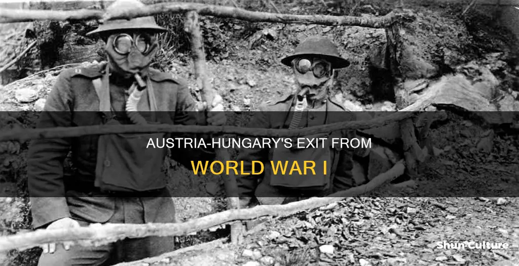 when did austria hungary drop out of ww1
