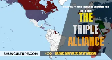 The Triple Alliance: Austria-Hungary, Germany, and Italy's Alliance