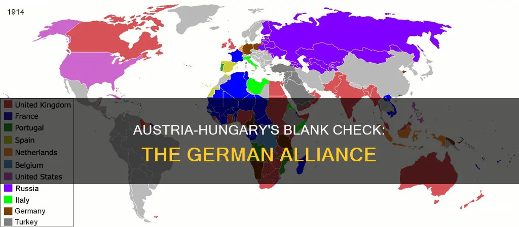 when did austria-hungary go to germany for blank check