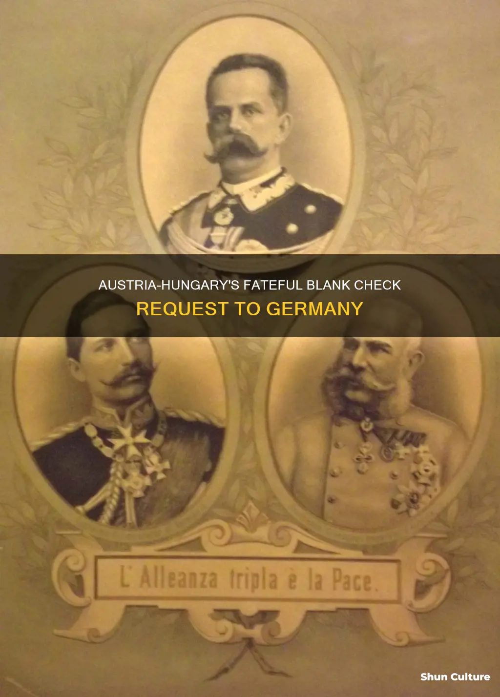 when did austria-hungary go to germany for blank check