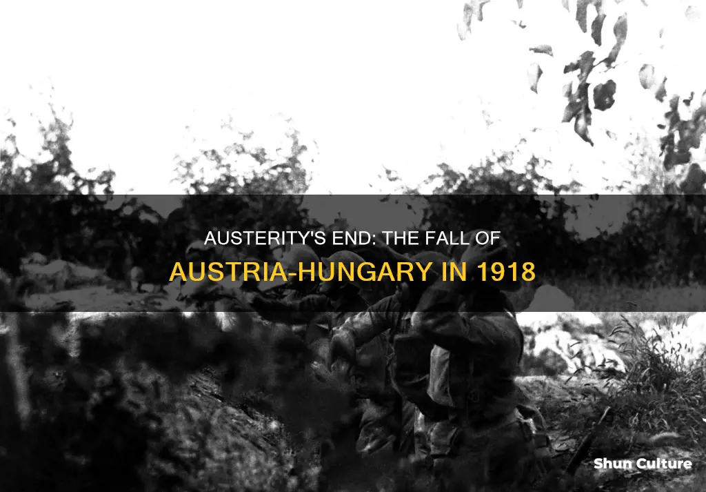 when did austria hungary lose the war