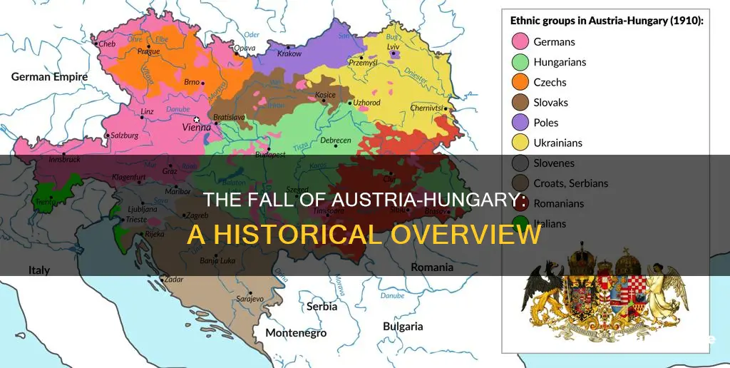 when did austria-hungry germany