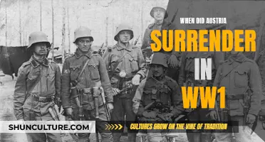 Austria's Surrender: The End of WWI's Eastern Front