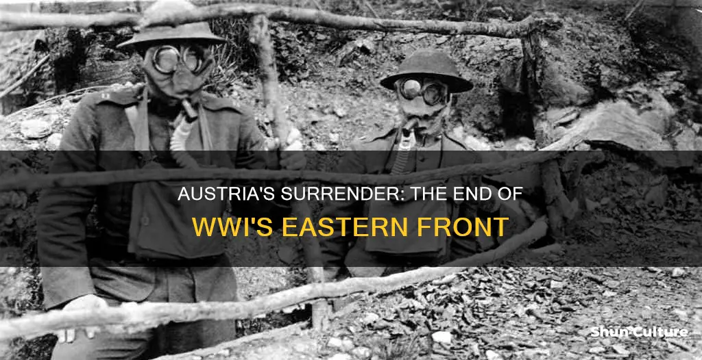 when did austria surrender in ww1