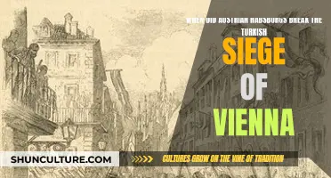 Habsburgs' Historic Victory: Breaking the Siege of Vienna