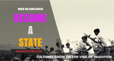 Bangladesh's Journey to Statehood: A Historical Overview of Independence