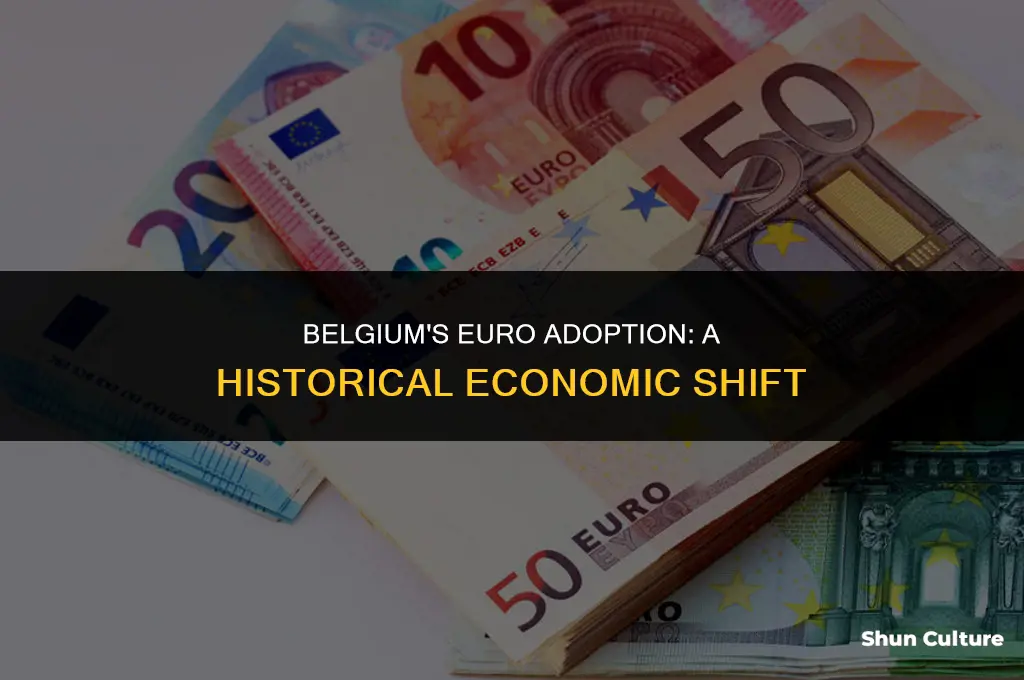 when did belgium adopt the euro