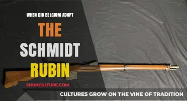 Belgium's Adoption of the Schmidt-Rubin Rifle: A Historical Overview