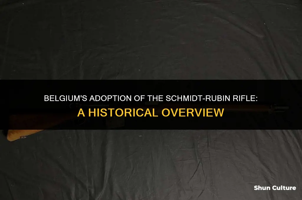 when did belgium adopt the schmidt rubin