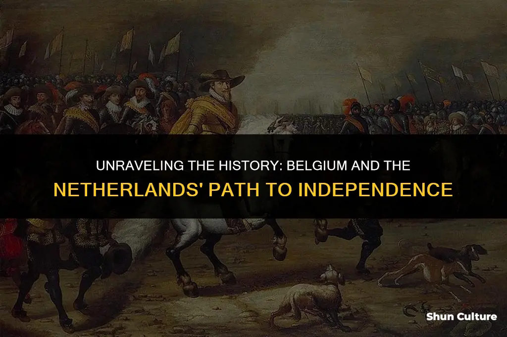 when did belgium and the netherlands split