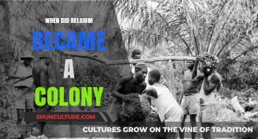 Tracing Belgium's Colonial Roots: A Historical Journey