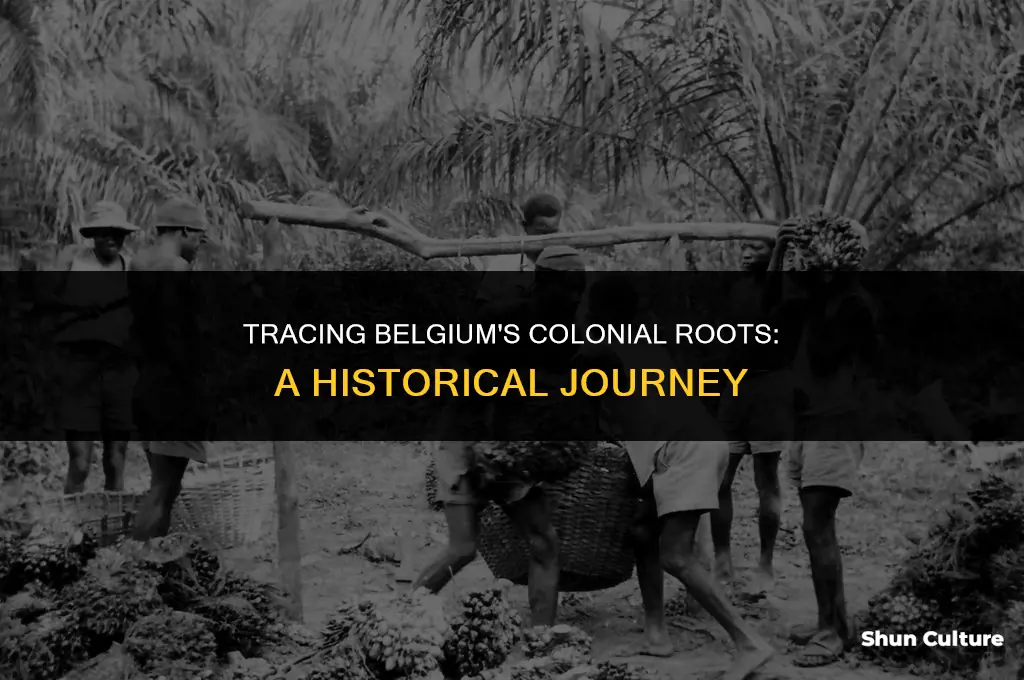 when did belgium became a colony