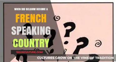From Dutch to French: Belgium's Linguistic Evolution Unveiled