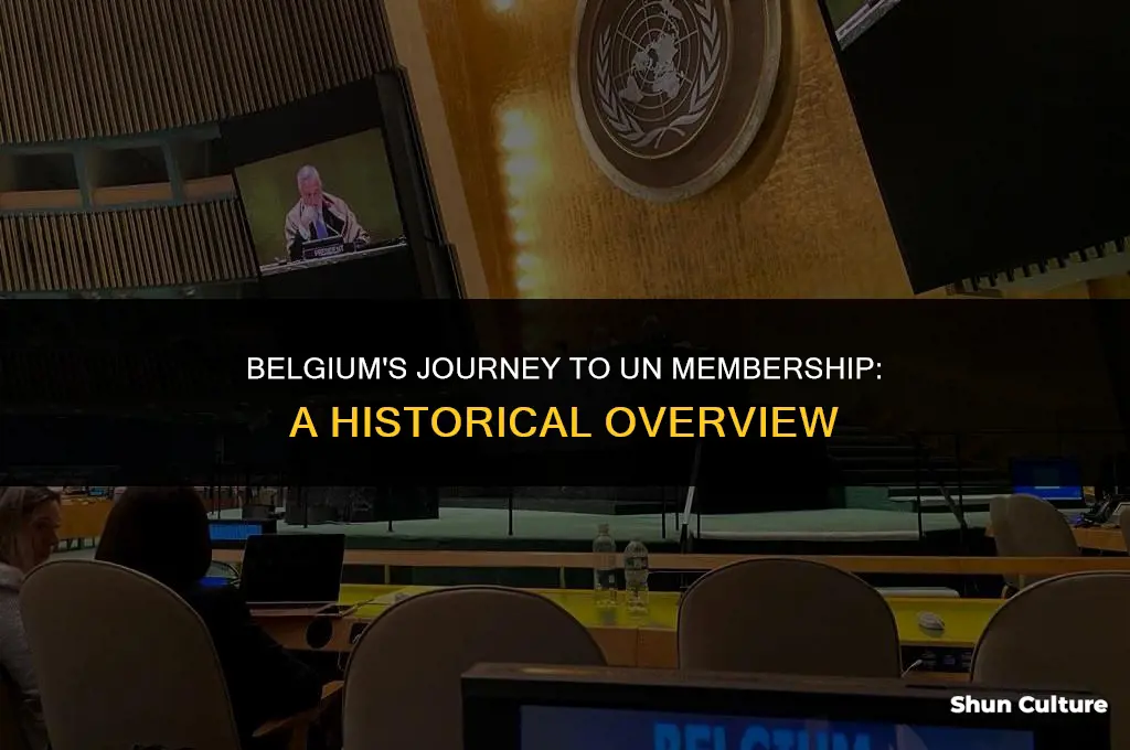 when did belgium become a member of the un