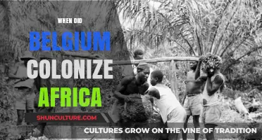 Belgium's Colonial Legacy in Africa: A Historical Overview