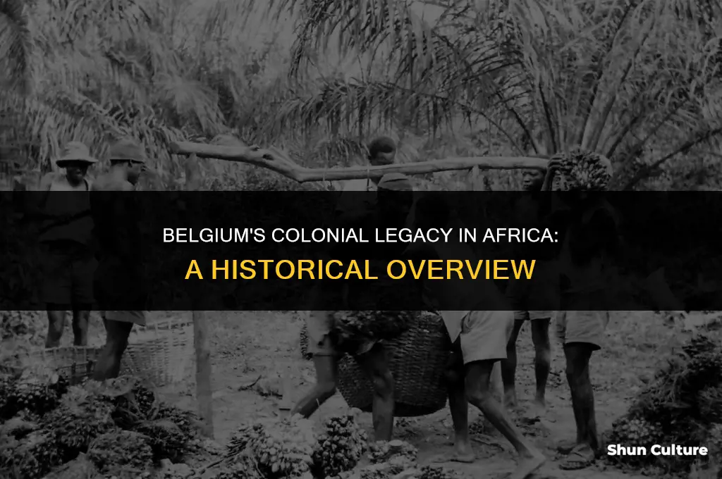 when did belgium colonize africa