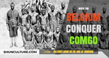 Belgium's Congo Conquest: A Historical Timeline and Impact