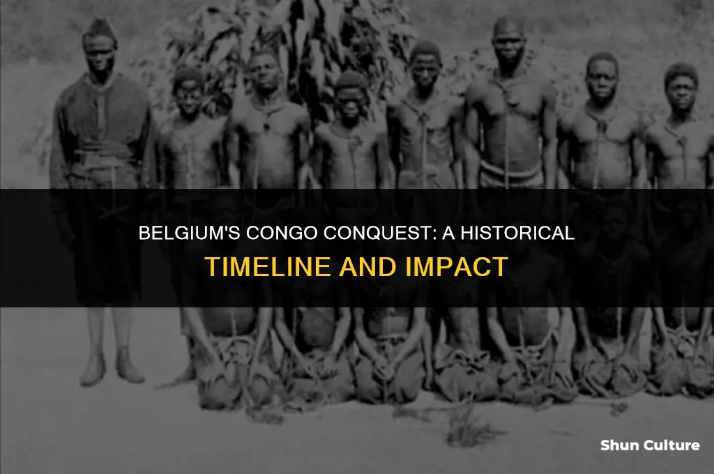 when did belgium conquer comgo