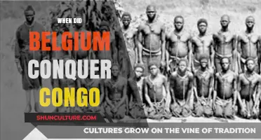 Belgium's Conquest of Congo: A Historical Timeline