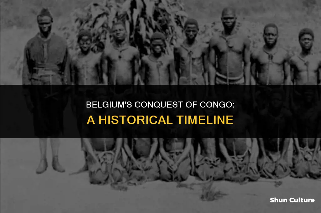 when did belgium conquer congo