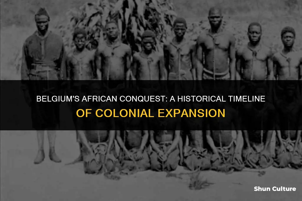 when did belgium conquer its african colonies